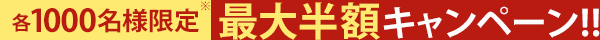 各1000名様限定※ 最大半額キャンペーン!!