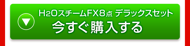 H2OスチームFX 8点 デラックスセット 今すぐ購入する