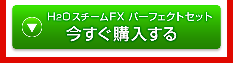 H2OスチームFX パーフェクトセット 今すぐ購入する
