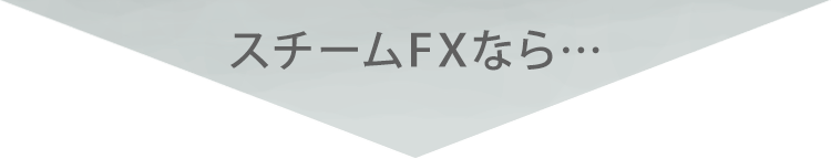 スチームFXなら…
